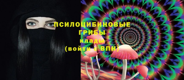 спайс Алзамай