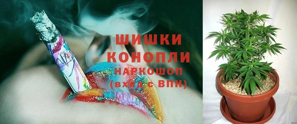 спайс Алзамай