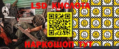 ALPHA PVP Гатчина