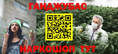 ALPHA PVP Гатчина