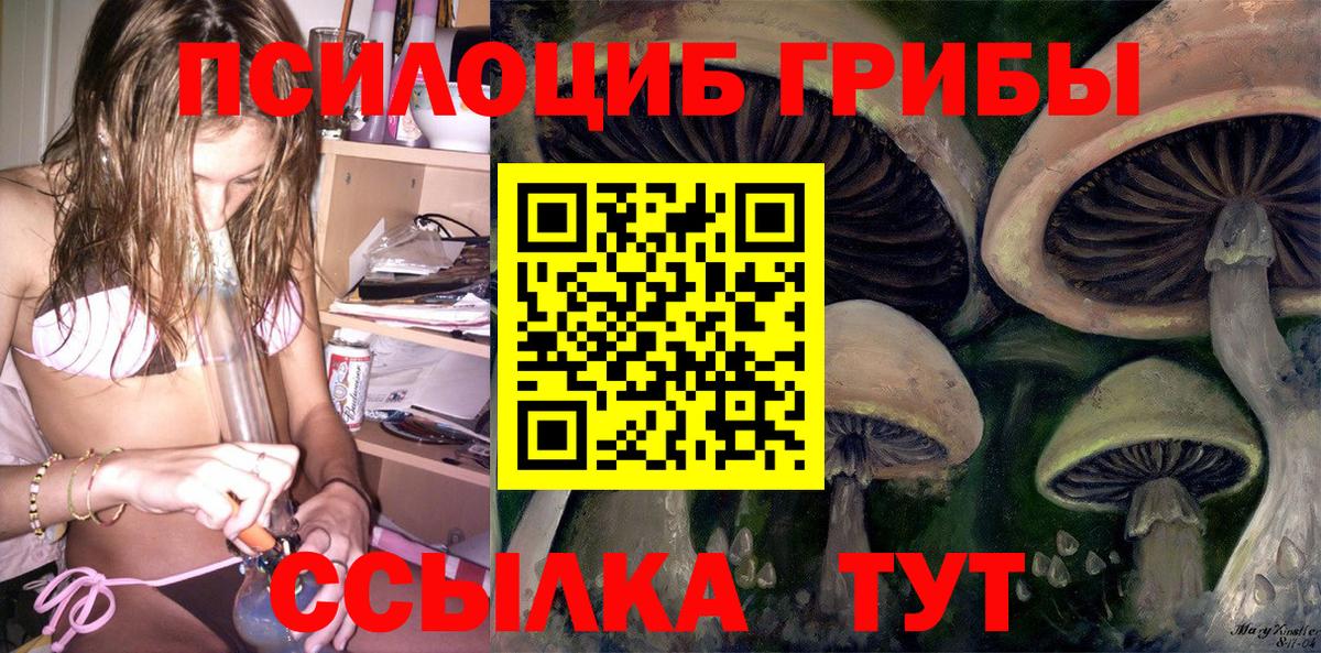 Псилоцибиновые грибы Magic Shrooms Павловский Посад